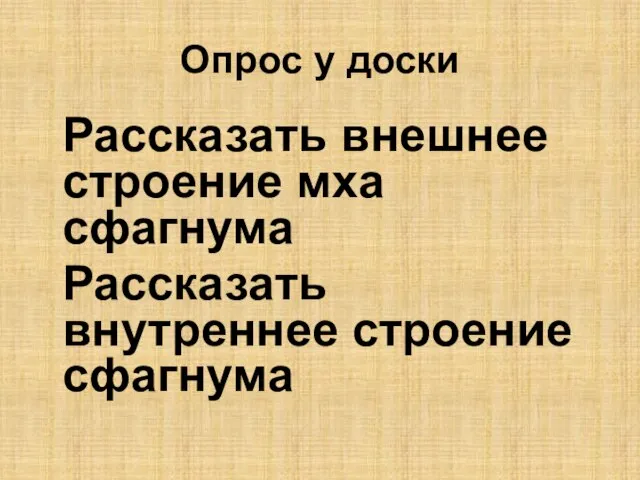 Опрос у доски Рассказать внешнее строение мха сфагнума Рассказать внутреннее строение сфагнума