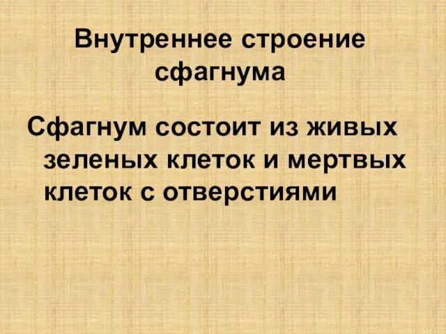 Внутреннее строение сфагнума Сфагнум состоит из живых зеленых клеток и мертвых клеток с отверстиями