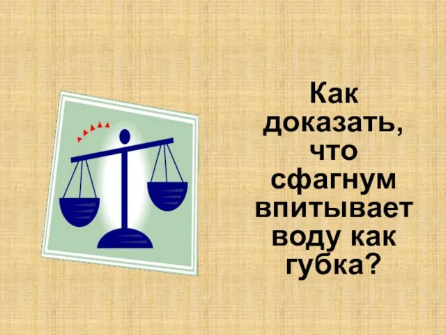 Как доказать, что сфагнум впитывает воду как губка?