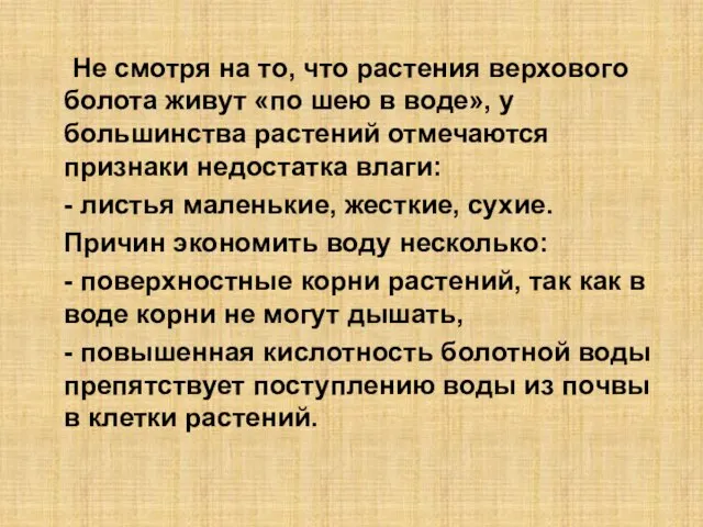 Не смотря на то, что растения верхового болота живут «по шею в