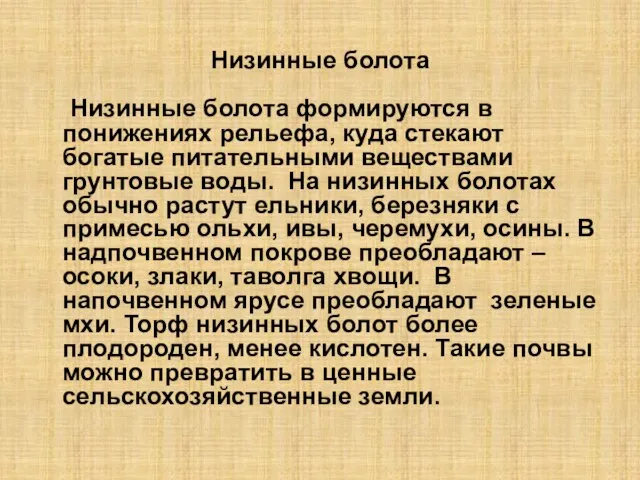 Низинные болота Низинные болота формируются в понижениях рельефа, куда стекают богатые питательными