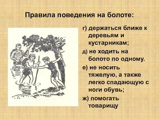 Правила поведения на болоте: г) держаться ближе к деревьям и кустарникам; д)