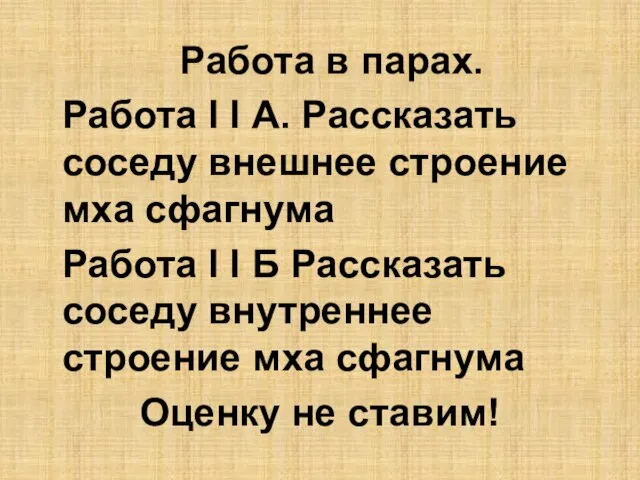 Работа в парах. Работа I I А. Рассказать соседу внешнее строение мха