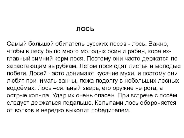 ЛОСЬ Самый большой обитатель русских лесов - лось. Важно, чтобы в лесу