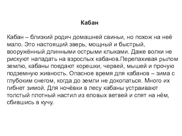 Кабан Кабан – близкий родич домашней свиньи, но похож на неё мало.