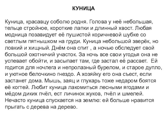 КУНИЦА Куница, красавцу соболю родня. Голова у неё небольшая, тельце стройное, короткие