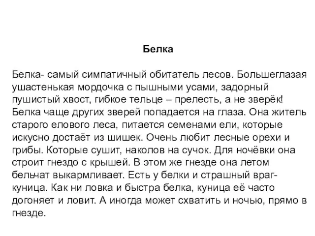 Белка Белка- самый симпатичный обитатель лесов. Большеглазая ушастенькая мордочка с пышными усами,