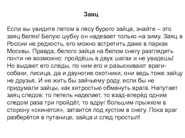 Заяц Если вы увидите летом в лесу бурого зайца, знайте – это