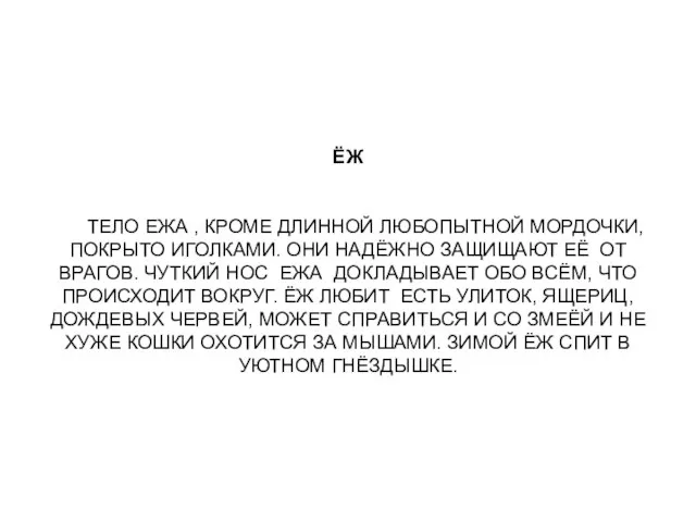 ЁЖ ТЕЛО ЕЖА , КРОМЕ ДЛИННОЙ ЛЮБОПЫТНОЙ МОРДОЧКИ, ПОКРЫТО ИГОЛКАМИ. ОНИ НАДЁЖНО