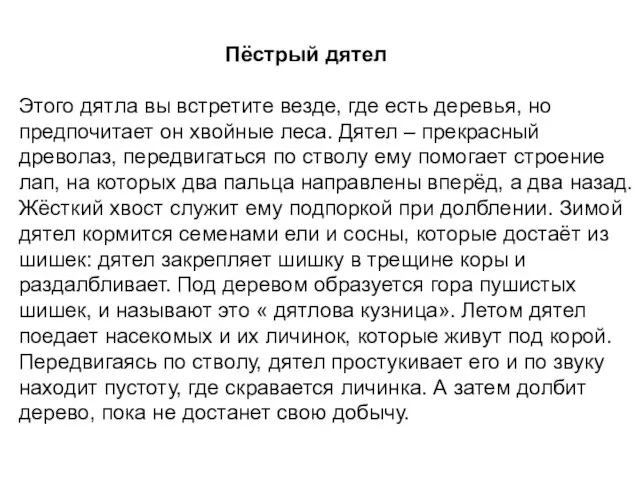 Пёстрый дятел Этого дятла вы встретите везде, где есть деревья, но предпочитает