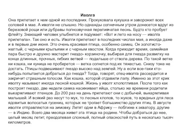 Иволга Она прилетает к нам одной из последних. Прокуковала кукушка и заворожил