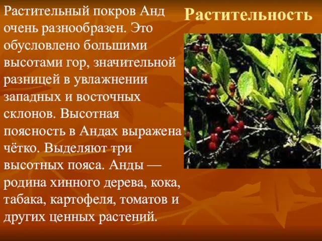 Растительность Растительный покров Анд очень разнообразен. Это обусловлено большими высотами гор, значительной