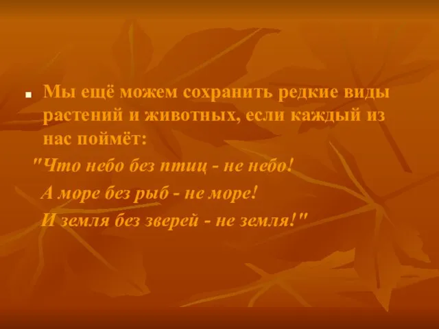 Мы ещё можем сохранить редкие виды растений и животных, если каждый из