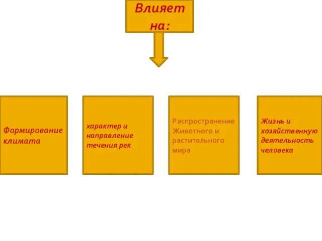 Формирование климата характер и направление течения рек Распространение Животного и растительного мира