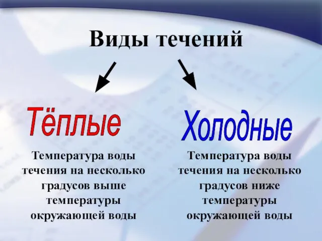 Виды течений Тёплые Холодные Температура воды течения на несколько градусов выше температуры