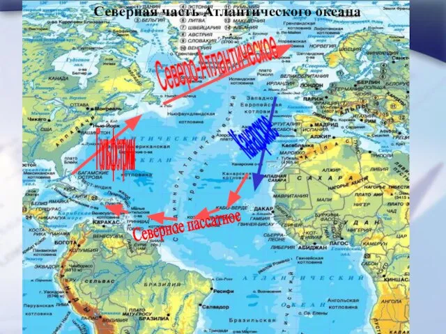 Северная часть Атлантического океана Гольфстрим Северо-Атлантическое Канарское Северное пассатное