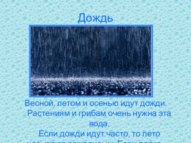 Дождь Весной, летом и осенью идут дожди. Растениям и грибам очень нужна