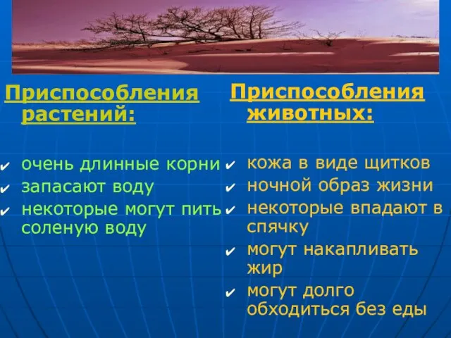 Приспособления растений: очень длинные корни запасают воду некоторые могут пить соленую воду