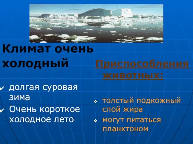 Климат очень холодный долгая суровая зима Очень короткое холодное лето Приспособления животных: