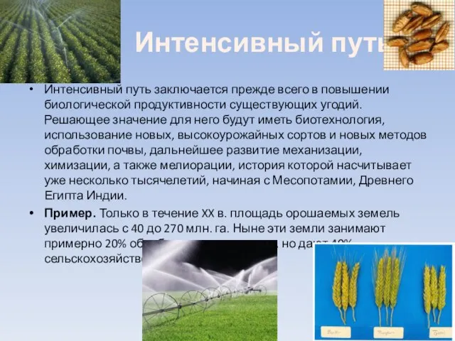 Интенсивный путь Интенсивный путь за­ключается прежде всего в повышении биологической продуктивности существующих