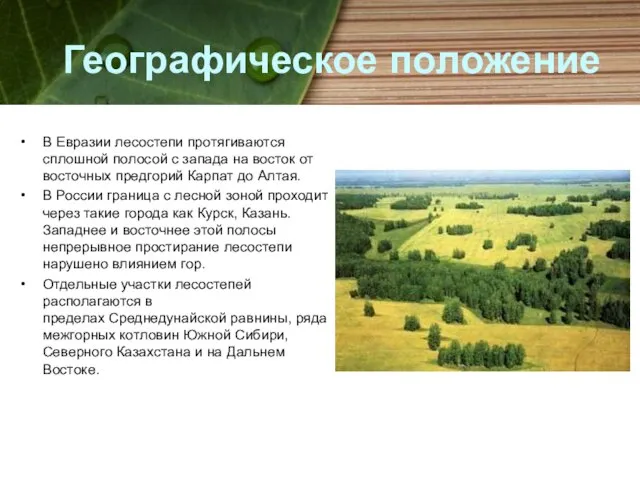 Географическое положение В Евразии лесостепи протягиваются сплошной полосой с запада на восток