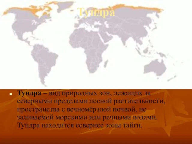 Тундра Тундра – вид природных зон, лежащих за северными пределами лесной растительности,