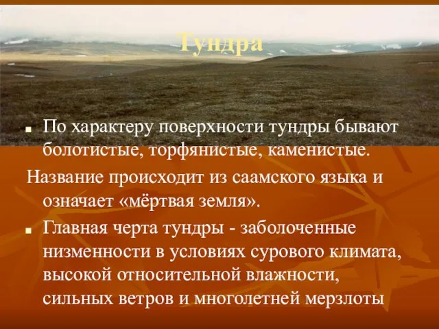 Тундра По характеру поверхности тундры бывают болотистые, торфянистые, каменистые. Название происходит из