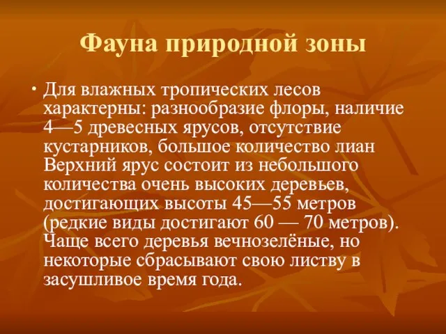 Фауна природной зоны Для влажных тропических лесов характерны: разнообразие флоры, наличие 4—5