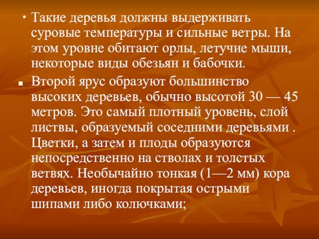 Такие деревья должны выдерживать суровые температуры и сильные ветры. На этом уровне