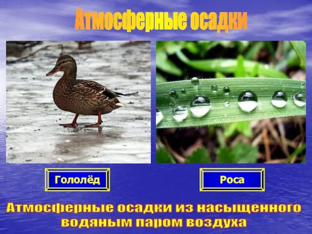 Атмосферные осадки Атмосферные осадки из насыщенного водяным паром воздуха Роса Гололёд Атмосферные