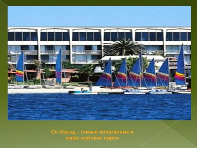 Си-Уорлд – самые популярные в мире морские парки