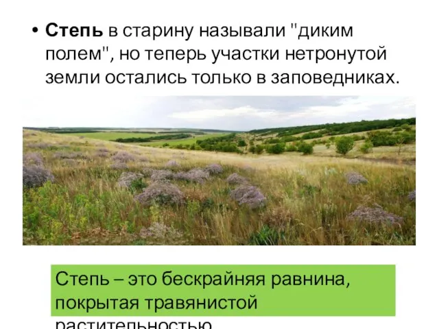 Степь в старину называли "диким полем", но теперь участки нетронутой земли остались