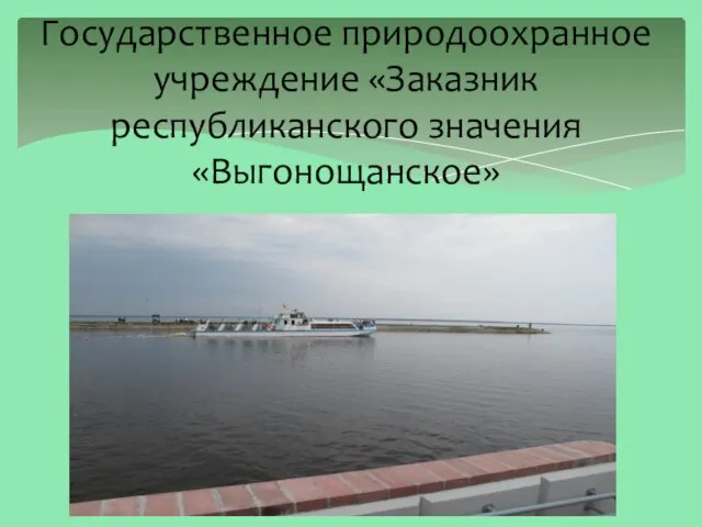 Государственное природоохранное учреждение «Заказник республиканского значения «Выгонощанское»