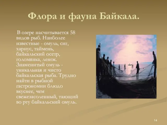 Флора и фауна Байкала. В озере насчитывается 58 видов рыб. Наиболее известные