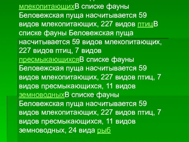 В списке фауны Беловежская пуща насчитывается 59 видов млекопитающихВ списке фауны Беловежская