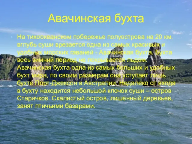 Авачинская бухта На тихоокеанском побережье полуострова на 20 км. вглубь суши врезается