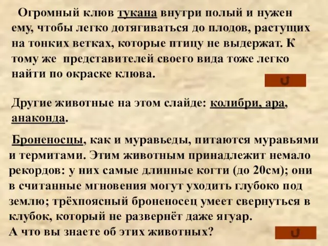 Огромный клюв тукана внутри полый и нужен ему, чтобы легко дотягиваться до