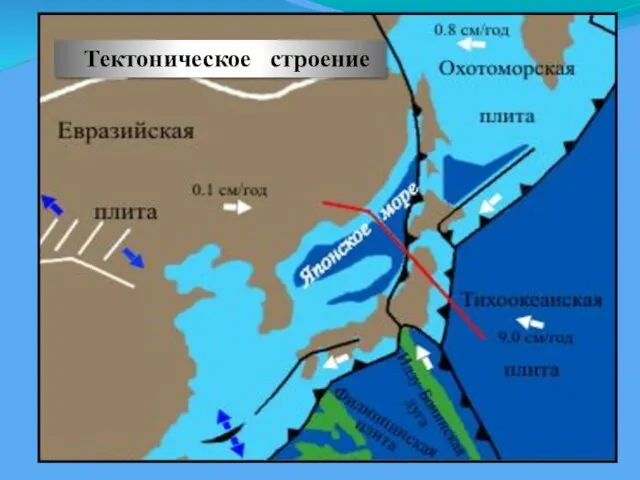 Тектоническое строение