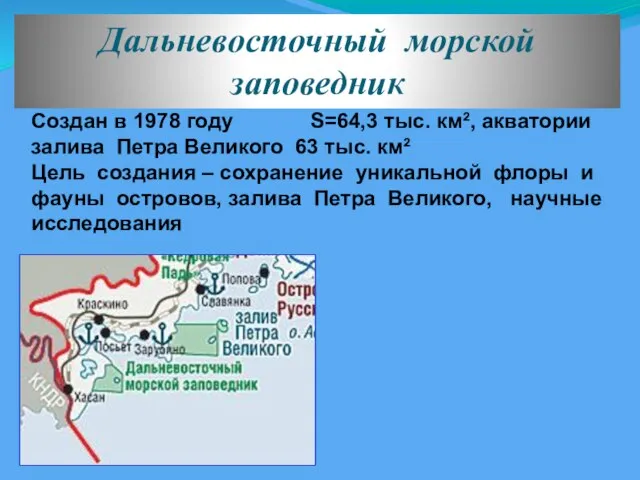 Дальневосточный морской заповедник Создан в 1978 году S=64,3 тыс. км², акватории залива