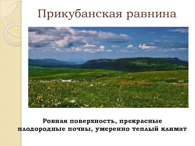 Прикубанская равнина Ровная поверхность, прекрасные плодородные почвы, умеренно теплый климат