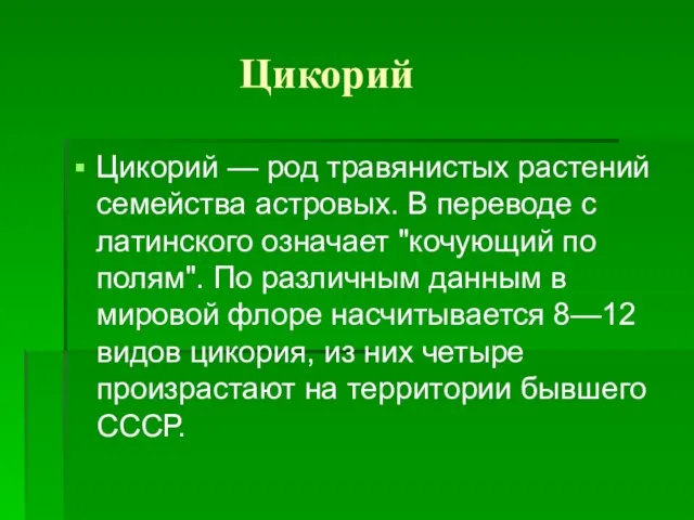 Цикорий Цикорий — род травянистых растений семейства астровых. В переводе с латинского