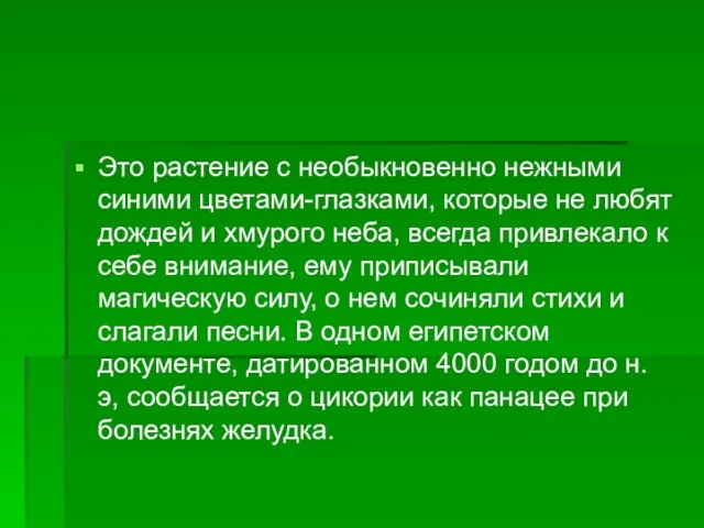 Это растение с необыкновенно нежными синими цветами-глазками, которые не любят дождей и