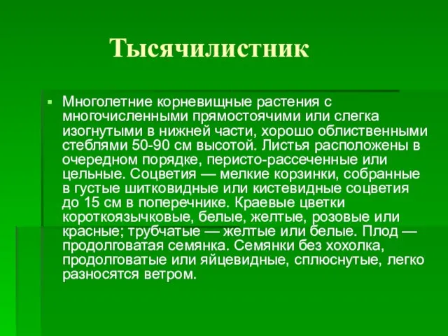 Тысячилистник Многолетние корневищные растения с многочисленными прямостоячими или слегка изогнутыми в нижней