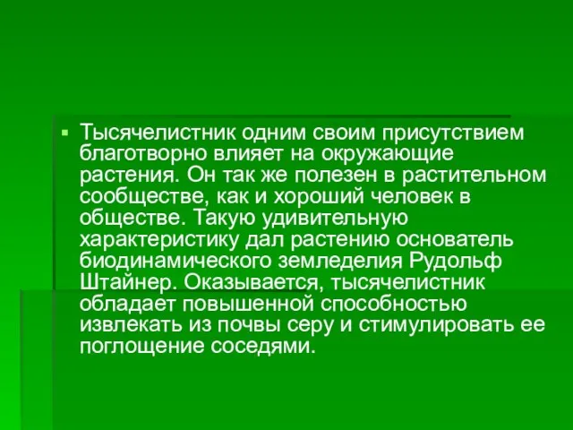 Тысячелистник одним своим присутствием благотворно влияет на окружающие растения. Он так же