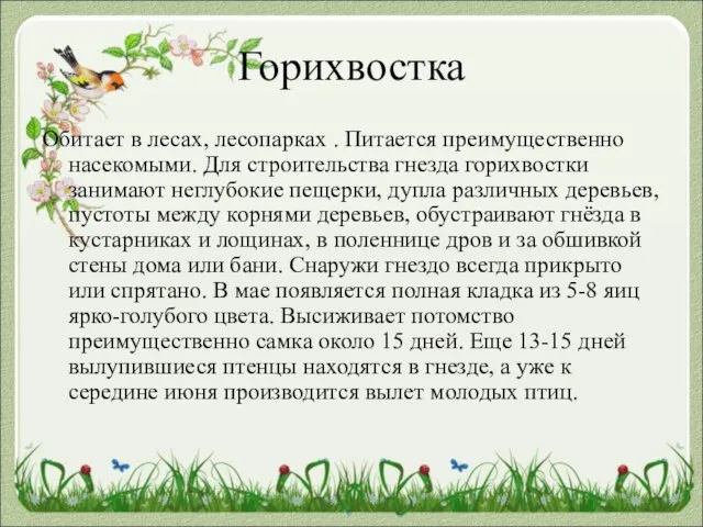 Горихвостка Обитает в лесах, лесопарках . Питается преимущественно насекомыми. Для строительства гнезда