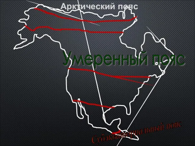 Арктический пояс Субарктический пояс Умеренный пояс Субтропический пояс Тропический пояс Субэкваториальный пояс