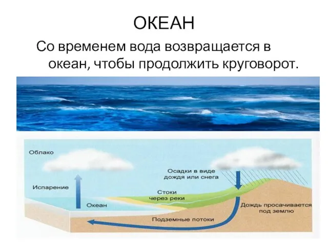 ОКЕАН Со временем вода возвращается в океан, чтобы продолжить круговорот.