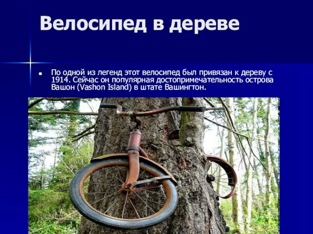 Велосипед в дереве По одной из легенд этот велосипед был привязан к