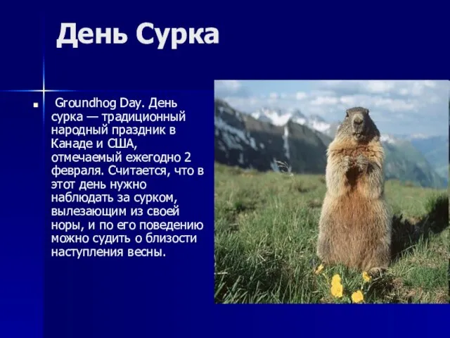 День Сурка Groundhog Day. День сурка — традиционный народный праздник в Канаде