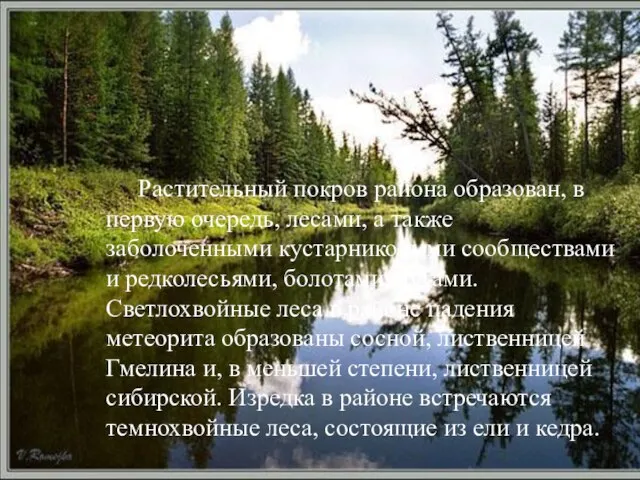 Растительный покров района образован, в первую очередь, лесами, а также заболоченными кустарниковыми